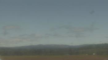 Weather camera view of City of Banks Public Library.