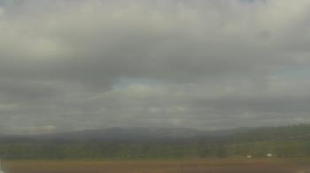Weather camera view of City of Banks Public Library.