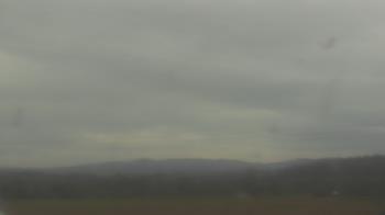 Weather camera view of City of Banks Public Library.
