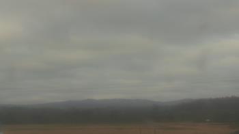 Weather camera view of City of Banks Public Library.