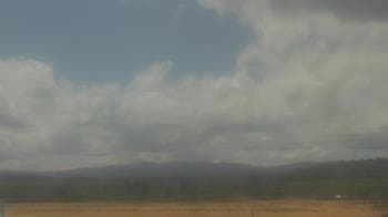 Weather camera view of City of Banks Public Library.