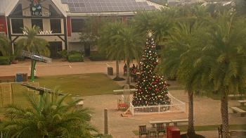 Weather camera view of Babcock Ranch.