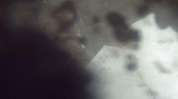 Weather camera view of James River HS.