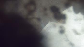 Weather camera view of James River HS.