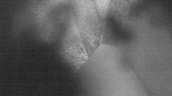 Weather camera view of James River HS.