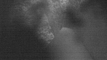 Weather camera view of James River HS.