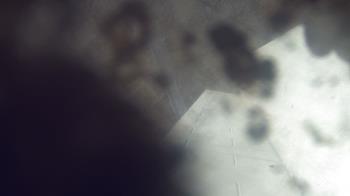 Weather camera view of James River HS.