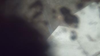 Weather camera view of James River HS.