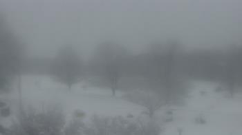 Weather camera view of Big Island Elementary School.