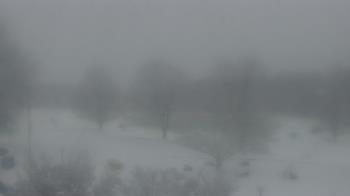 Weather camera view of Big Island Elementary School.