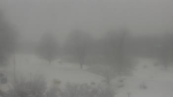 Weather camera view of Big Island Elementary School.