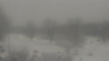 Weather camera view of Big Island Elementary School.