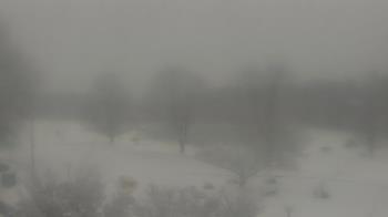 Weather camera view of Big Island Elementary School.