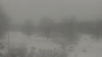 Weather camera view of Big Island Elementary School.