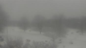 Weather camera view of Big Island Elementary School.