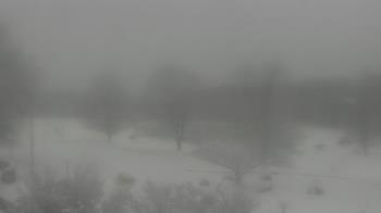 Weather camera view of Big Island Elementary School.