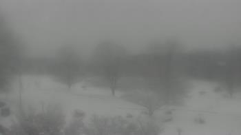 Weather camera view of Big Island Elementary School.