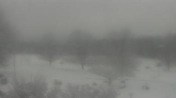 Weather camera view of Big Island Elementary School.