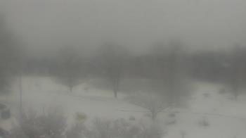 Weather camera view of Big Island Elementary School.