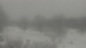 Weather camera view of Big Island Elementary School.