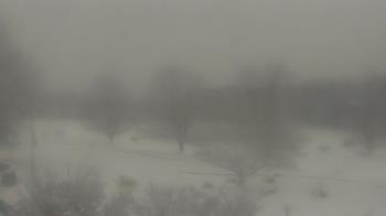 Weather camera view of Big Island Elementary School.