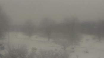 Weather camera view of Big Island Elementary School.