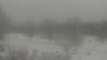 Weather camera view of Big Island Elementary School.