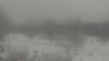 Weather camera view of Big Island Elementary School.