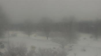 Weather camera view of Big Island Elementary School.