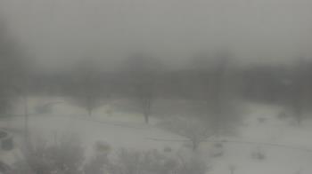 Weather camera view of Big Island Elementary School.