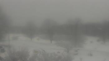 Weather camera view of Big Island Elementary School.