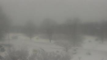 Weather camera view of Big Island Elementary School.