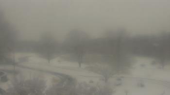 Weather camera view of Big Island Elementary School.