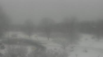 Weather camera view of Big Island Elementary School.