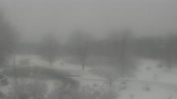 Weather camera view of Big Island Elementary School.