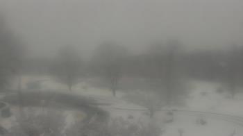 Weather camera view of Big Island Elementary School.