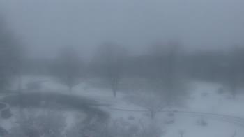 Weather camera view of Big Island Elementary School.