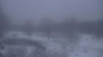 Weather camera view of Big Island Elementary School.