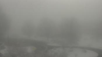 Weather camera view of Big Island Elementary School.