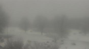 Weather camera view of Big Island Elementary School.