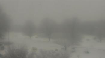 Weather camera view of Big Island Elementary School.