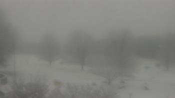 Weather camera view of Big Island Elementary School.