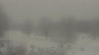 Weather camera view of Big Island Elementary School.