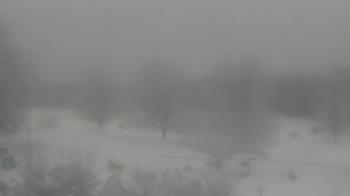 Weather camera view of Big Island Elementary School.