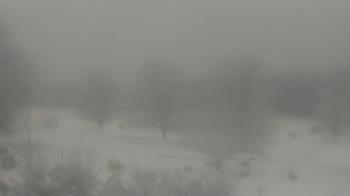 Weather camera view of Big Island Elementary School.