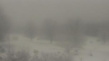 Weather camera view of Big Island Elementary School.