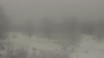 Weather camera view of Big Island Elementary School.