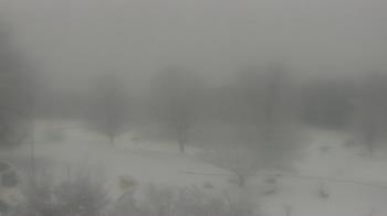 Weather camera view of Big Island Elementary School.