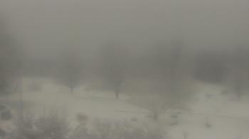 Weather camera view of Big Island Elementary School.