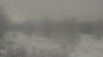 Weather camera view of Big Island Elementary School.